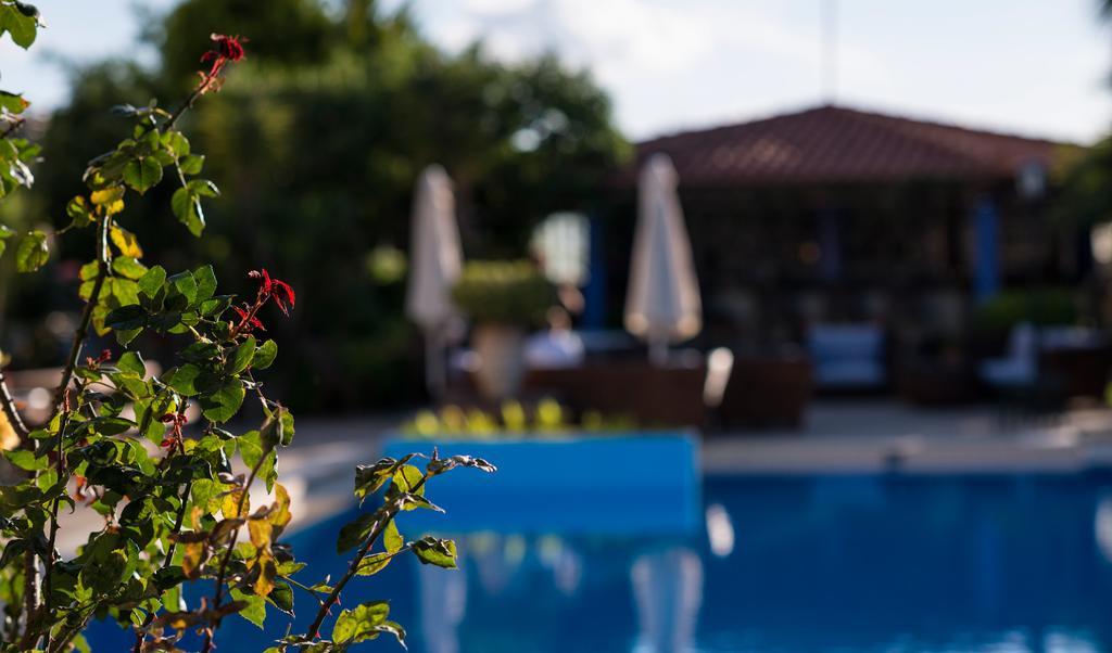 Nireas Hotel Kato Daratso Exterior photo